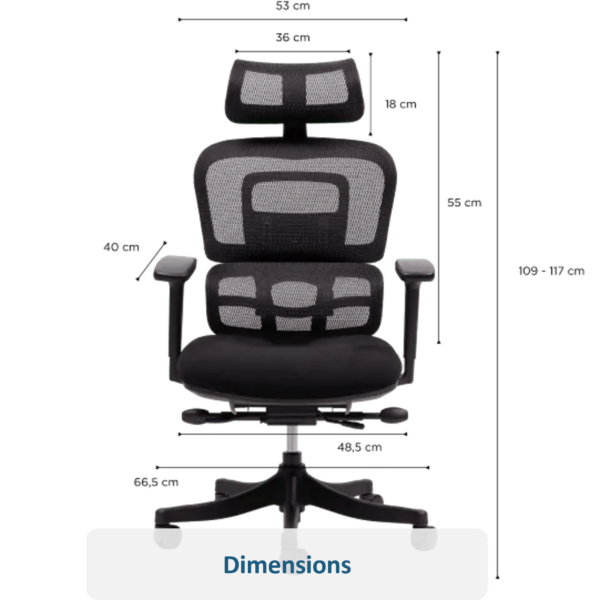 Dimensions